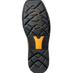 Ariat Men's Sierra 10