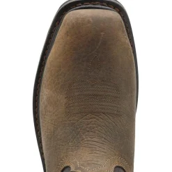 Ariat Men's Sierra Puncture Resistant 10