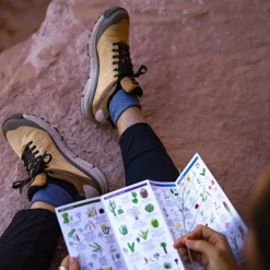 Danner Women's Trail 2650 GTX 3